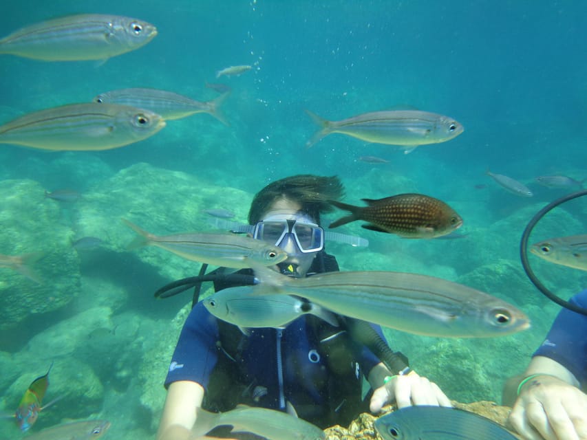 Antalya Scuba Diving Tour, With Lunch & Return Transfers - Price and Value Breakdown: Is $38 Worth It?