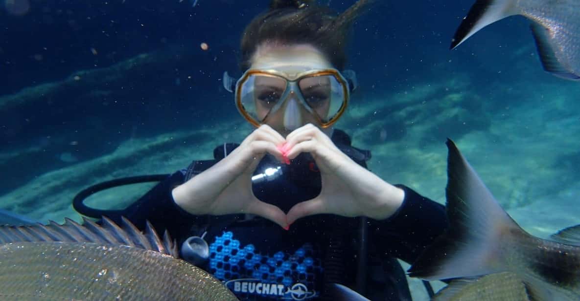 Antalya Scuba Diving Tour, With Lunch & Return Transfers - Çaltıcak First: A Gentle Intro to Underwater Life