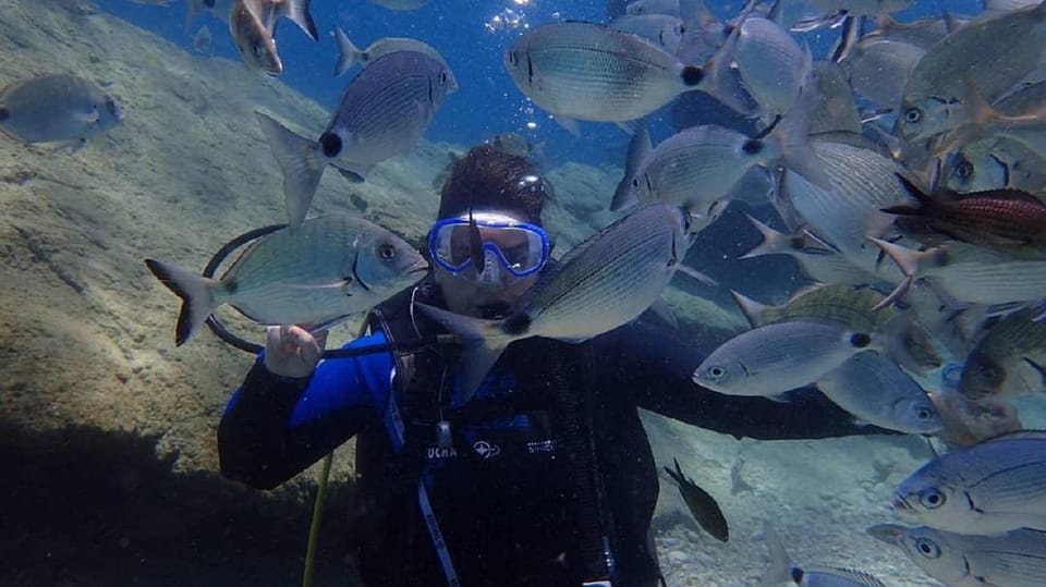 Antalya Scuba Diving Tour, With Lunch & Return Transfers - Martı Island After Lunch: The Second Stop That Makes the Day Feel Complete