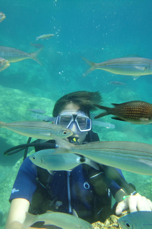 Antalya Scuba Diving Tour, With Lunch & Return Transfers - Who Should Skip It (and Who It Fits Well)