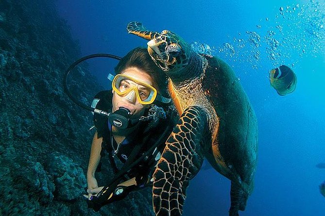 Antalya Scuba Diving W/Lunch & Transfers - Key Things to Know Before You Go