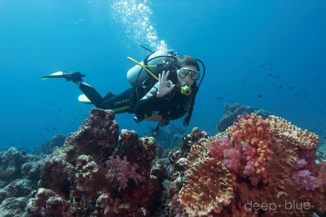 Antalya Scuba Diving W/Lunch & Transfers - How This Antalya Scuba Day Works from Setur Harbour