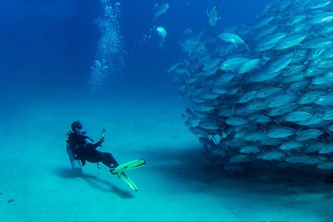 Antalya Scuba Diving W/Lunch & Transfers - The First Underwater Session: Marine Life, Reefs, and Cave-Style Spots