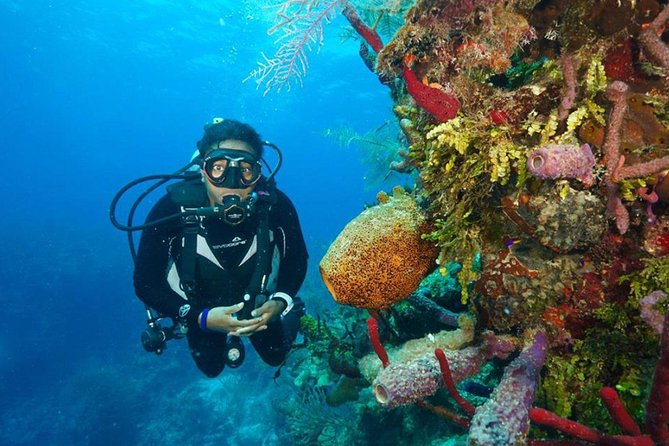 Antalya Scuba Diving W/Lunch & Transfers - Lunch Between Sessions: Why the Break Is More Valuable Than It Sounds