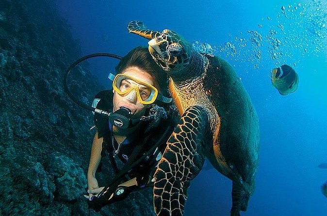 Antalya Scuba Diving W/Lunch & Transfers - Cold Water Reality Check for First-Timers