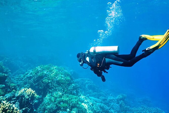 Antalya Scuba Diving With Transfer From Belek,Lara,Kemer Hotels - The Underwater Stops: Two Sessions in Kemer’s Mediterranean Waters