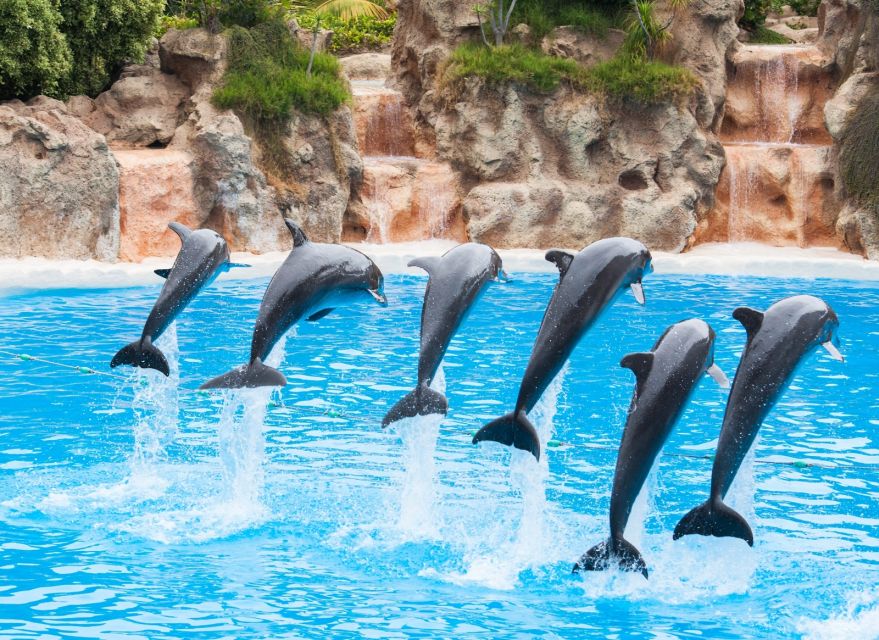 Antalya: The Land Of Legends Ticket Theme Park w/ Transfer - How I’d structure the day to avoid time sinks