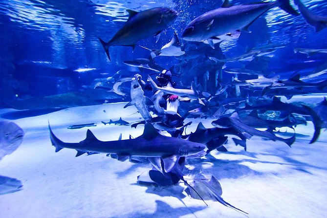 Antalya Tunnel Aquarium - Departure from Side - Antalya Aquarium: your 1-hour window inside the Tunnel Aquarium experience