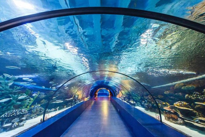 Antalya Tunnel Aquarium - Departure from Side - Your morning start: pickup, comfort, and timing that matters