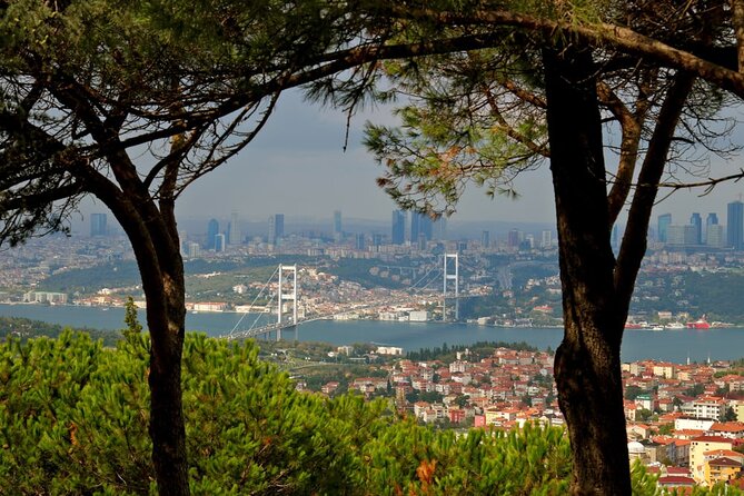 Asian Side of Istanbul Tour - Half-Day Small Group Tour - Bagdat Street: Modern Istanbul, Cafés, and Shopping Detours
