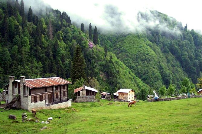 Ayder Tour with Fırtına Valley Adventure: Full-Day Experience - What’s included in the price, and what you should budget for