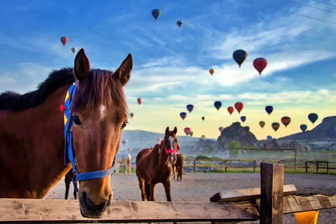 Balloon Watching Tour in Cappadocia with Hotel Pick-Up & Drop-Off - Why This Balloon Watching Loop Feels Easier Than DIY