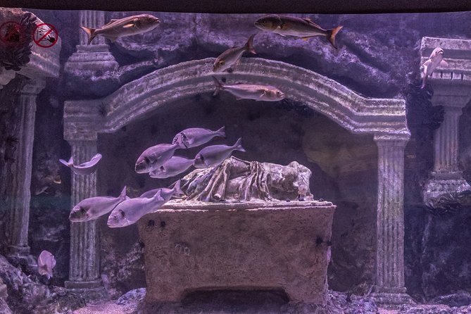 Belek: Antalya Aquarium Ticket With Optional Transfer - Who this tour is best for