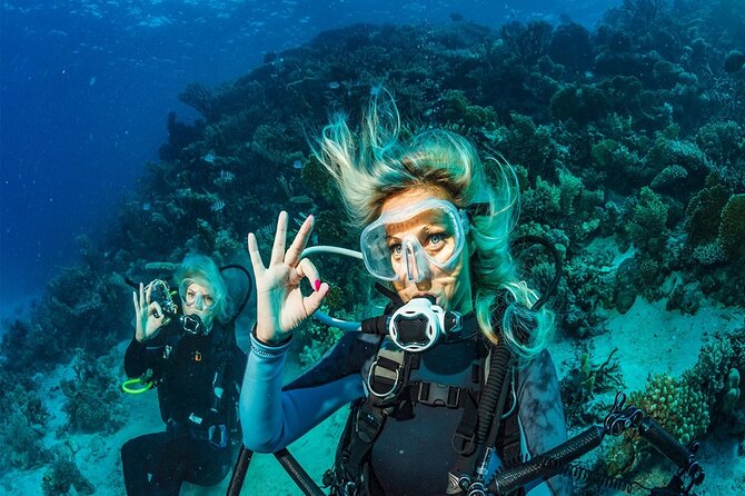 Belek Scuba Diving Experience (2 Dives) With Lunch - Drinks on the Boat: The One Cost You’ll Feel
