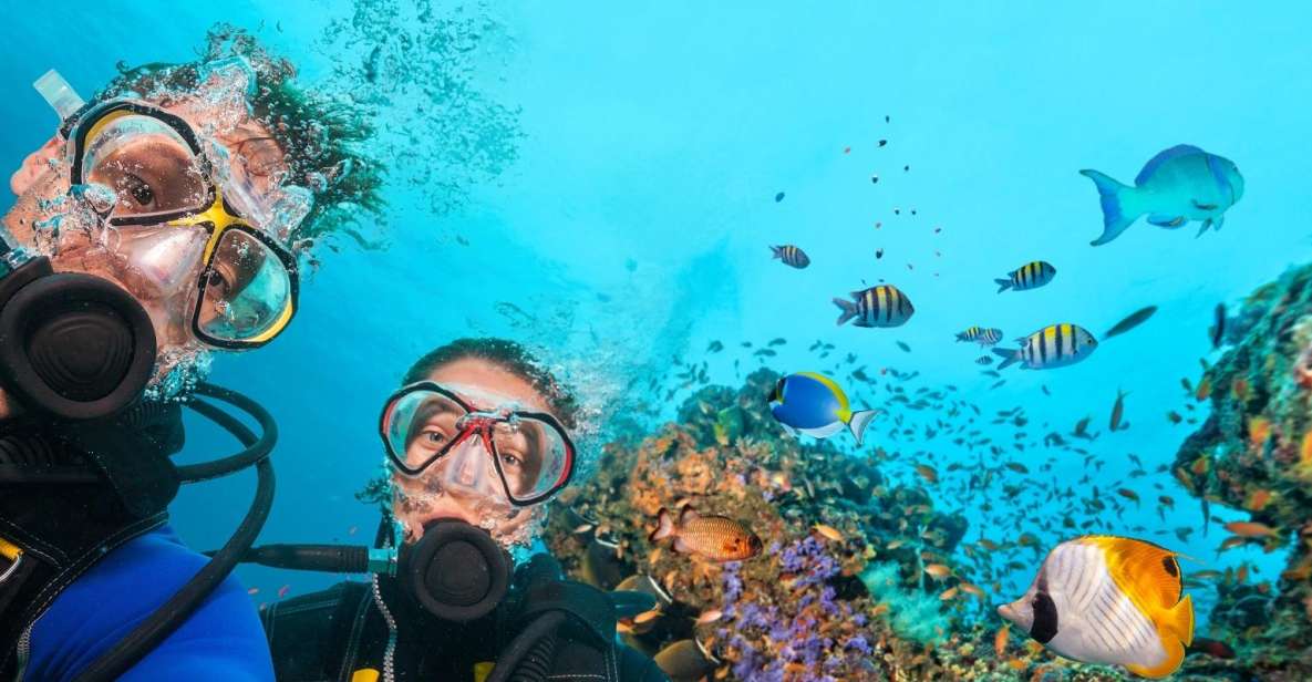 Belek: Scuba Diving in the Mediterranean Sea - The Belek-to-Kemer Day: Where Time Really Goes