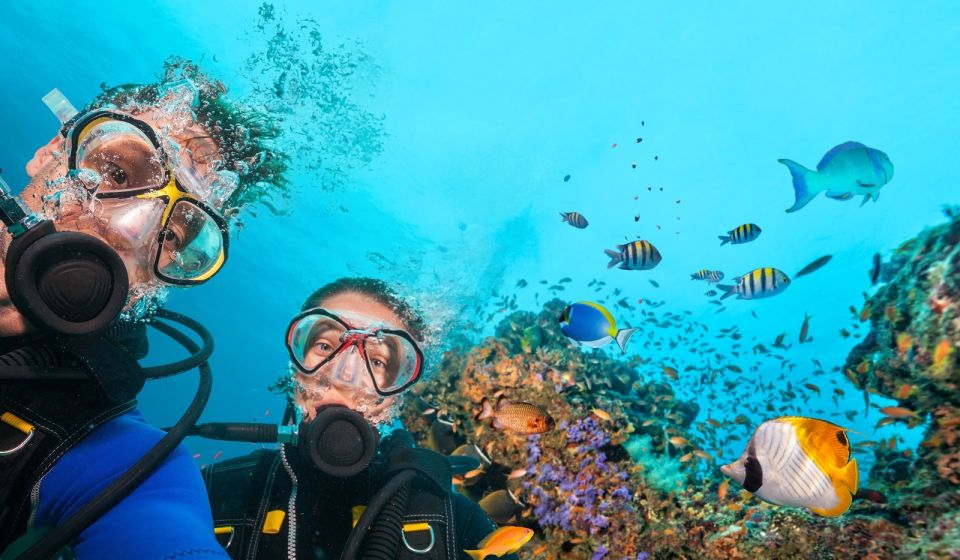 Belek: Scuba Diving in the Mediterranean Sea - Two Underwater Sessions, Plus a Safety-First Setup