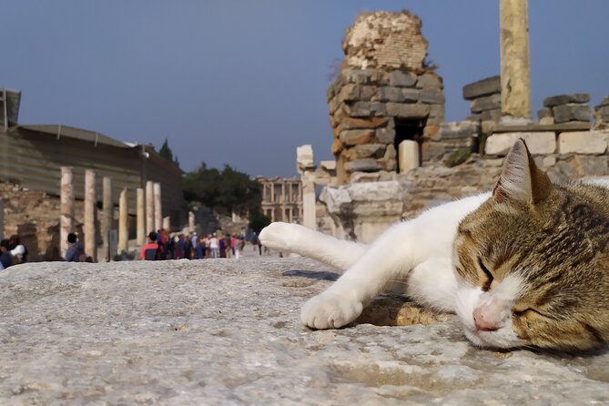 Best of Ephesus Tour From Kusadasi: Temple of Artemis, St John Basilica, Isa Bey Mosque - Lunch Buffet and the Shop Stops: Where the Day Can Go Perfect or Go Sideways