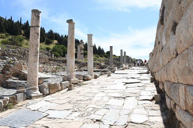 Best Private Ephesus Tour for Cruise Travelers: Culture & History - Terrace Houses: Mosaics, Frescoes, and the Step Challenge