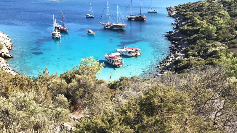Bodrum: Boat Tour for Mein Schiff and Aida Cruise Passengers - Timing That Actually Works: Mein Schiff and Aida Days in Bodrum