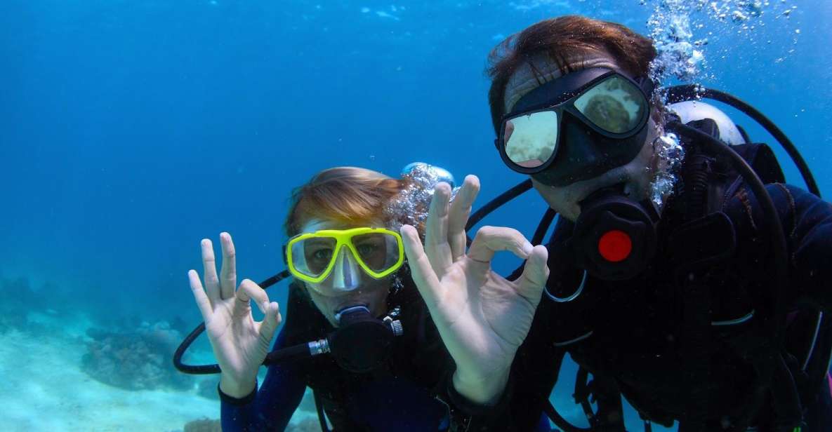Bodrum: Full-Day Scuba Diving Tour - Key Points You’ll Care About