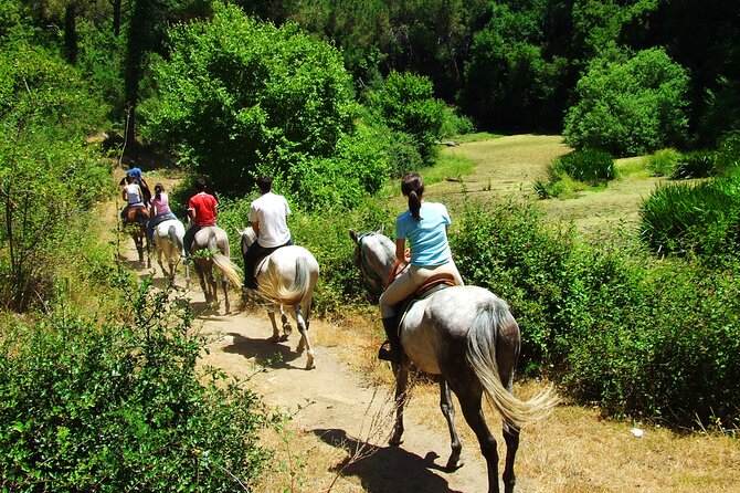 Bodrum Horse Riding Experience w/ Hotel Transfer Service - Meet Your Horses and Learn the Basics in English