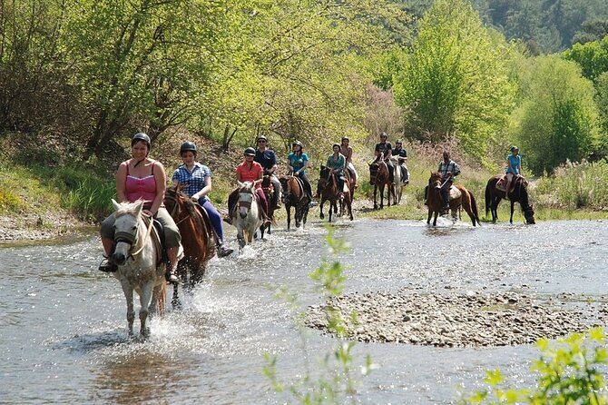 Bodrum Horse Riding Experience w/ Hotel Transfer Service - The On-Horse Route: Pines, Orange Groves, and Village-Side Country Roads
