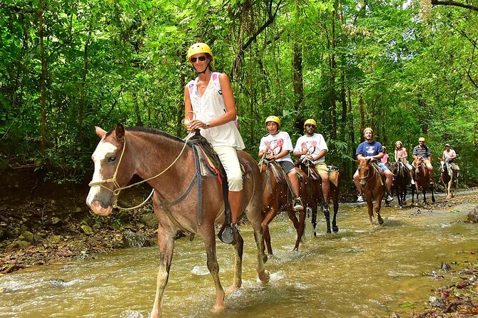 Bodrum Horse Riding Experience w/ Hotel Transfer Service - Price and Value Compared to Other Bodrum Plans ($80 for 3 Hours)