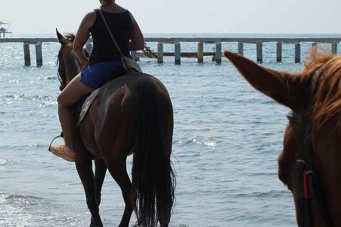 Bodrum: Horseback Riding Experience with Hotel Transfer - Time on the Trail vs. Total Duration: When to Book for Your Bodrum Day