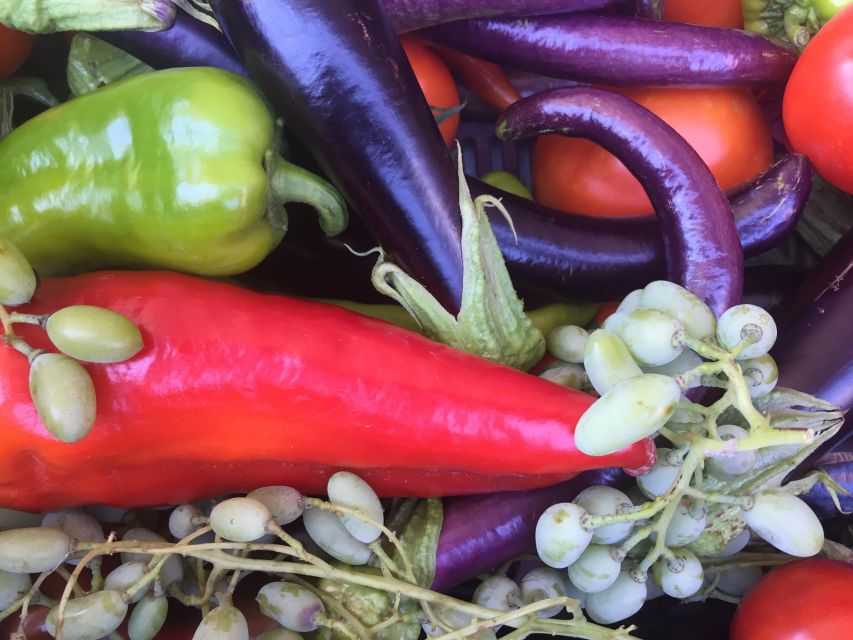 Bodrum: Market Visit and Cooking Class - Key takeaways before you go