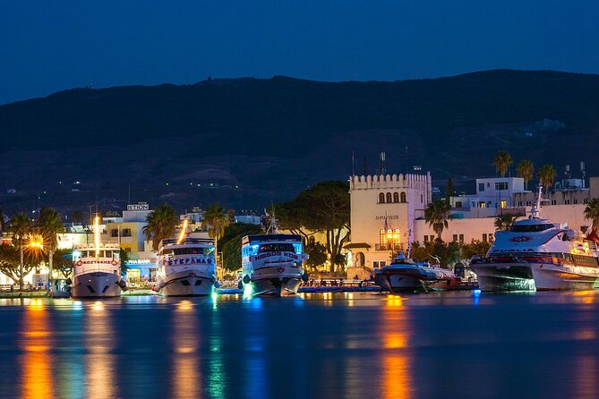 Bodrum Roundtrip Ferry to Kos with Hotel Pickup - Meeting point reality: Bodrum Cruise Port and timing