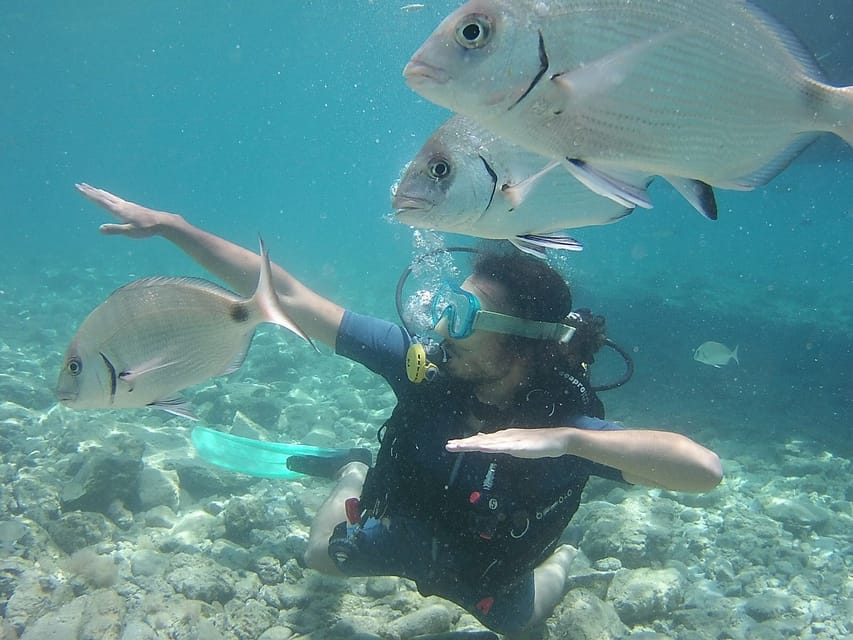 Bodrum: Scuba Diving Trip with Lunch - Key highlights to know before you go