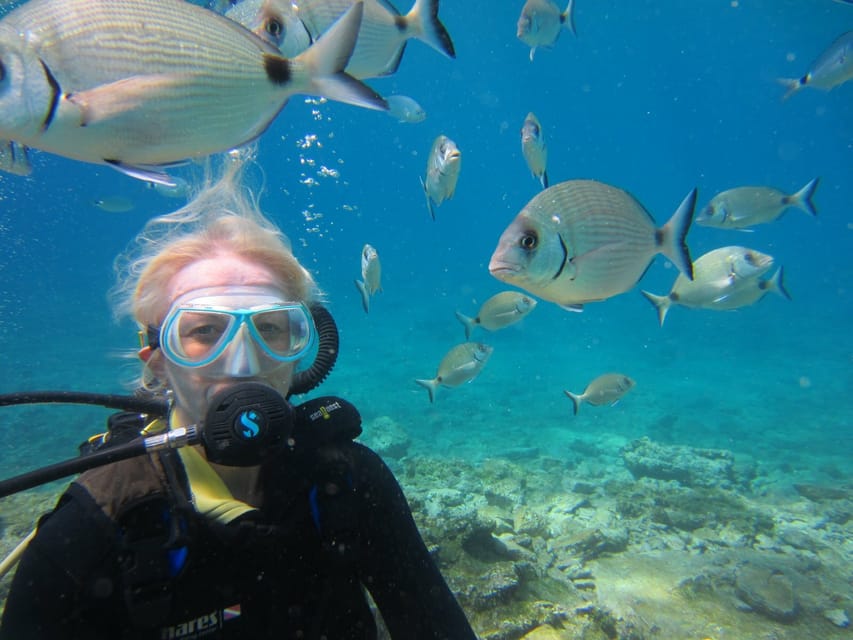 Bodrum: Scuba Diving Trip with Lunch - Gear and pre-session coaching for beginners (and how they keep you comfortable)