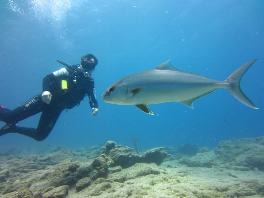 Bodrum: Scuba Diving Trip with Lunch - Lunch on board: included food, onboard service, and what to expect