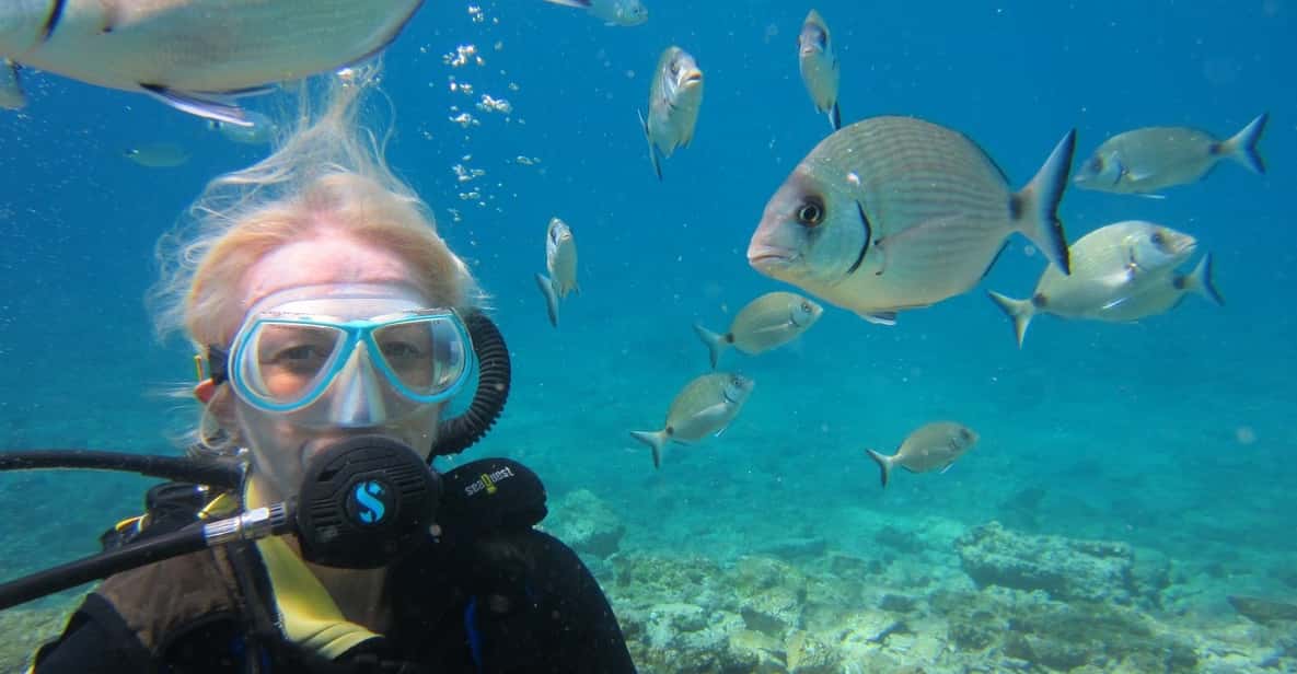 Bodrum: Scuba Diving Trip with Lunch - Who should book this Bodrum scuba trip?