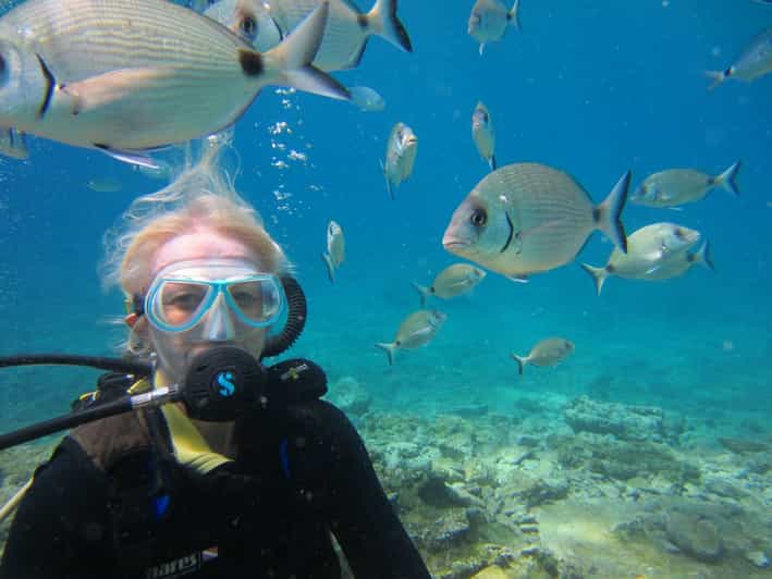 Bodrum: Scuba Diving Trip with Lunch - Pickup and Halikarnas Harbour: Timing and finding your start