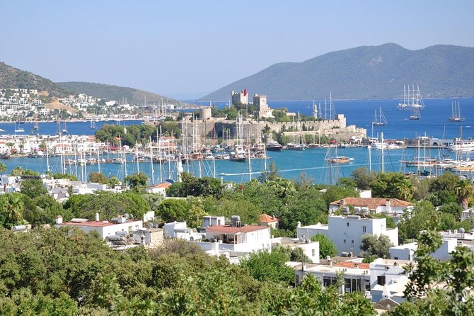 Bodrum Shore Excursion: Private Bodrum Express Sightseeing Tour - Key Things to Know Before You Go