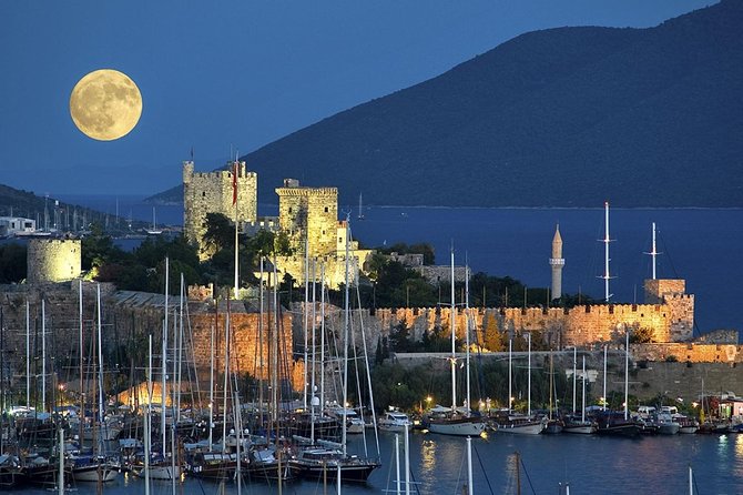 Bodrum Shore Excursion: Private Bodrum Express Sightseeing Tour - Your Guide, Your Pace: What Private Really Means Here