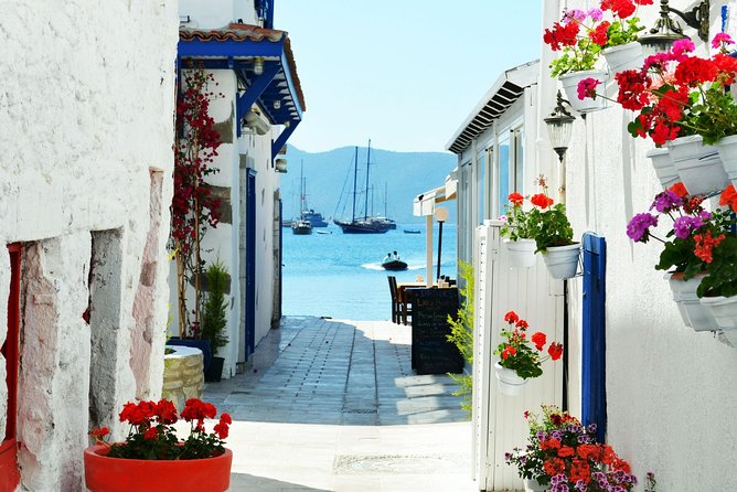 Bodrum Shore Excursion: Private Bodrum Express Sightseeing Tour - Admission, Timing, and Weather: How to Avoid Misses