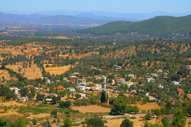 Bodrum Village Tour with Group - Key Highlights You’ll Actually Care About