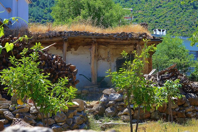 Bodrum Village Tour with Group - The Carpet Weaving Moment: Demo, Presentation, and Buying Options