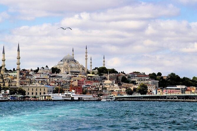 Bosphorus Cruise Tour Istanbul - Choosing your time: morning, afternoon, sunset, or night