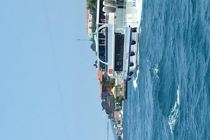 Bosphorus Cruise With Dolmabahçe Palace and Fortresses - Dolmabahçe Palace: Ottoman splendor with a European twist