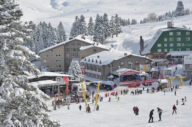 Bursa and Uludag Tour from Istanbul - Uludağ National Park by Cable Car (The 30-Minute Difference)