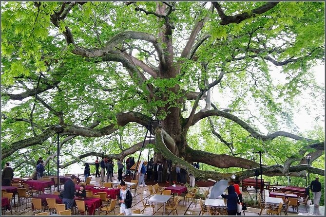 Bursa and Uludag Tour from Istanbul - Food, Water, and What Your Money Really Covers