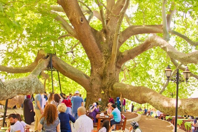 Bursa And Uludağ Tour From İstanbul with Cable Car & Lunch - Lunch and free time: when you’ll actually get to slow down