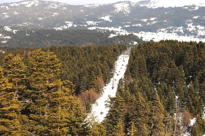 Bursa City and Uludag Mountain Day Trip with Pick up & Cable Car - Uludağ National Park and the Inkaya plane tree: where the day gets memorable