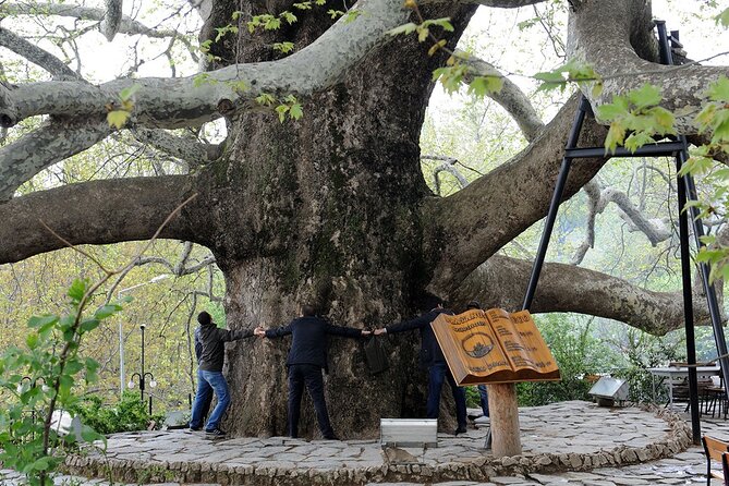 Bursa Day Trip from Istanbul - 600-year-old plane tree photos and the lunch break on the mountain