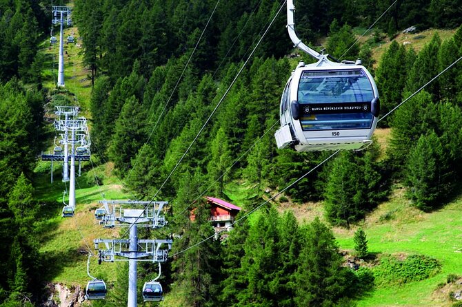 Bursa Day Trip from Istanbul with Uludag Cable Car Experience - Uludag National Park: plane tree photos and a real mountain meal