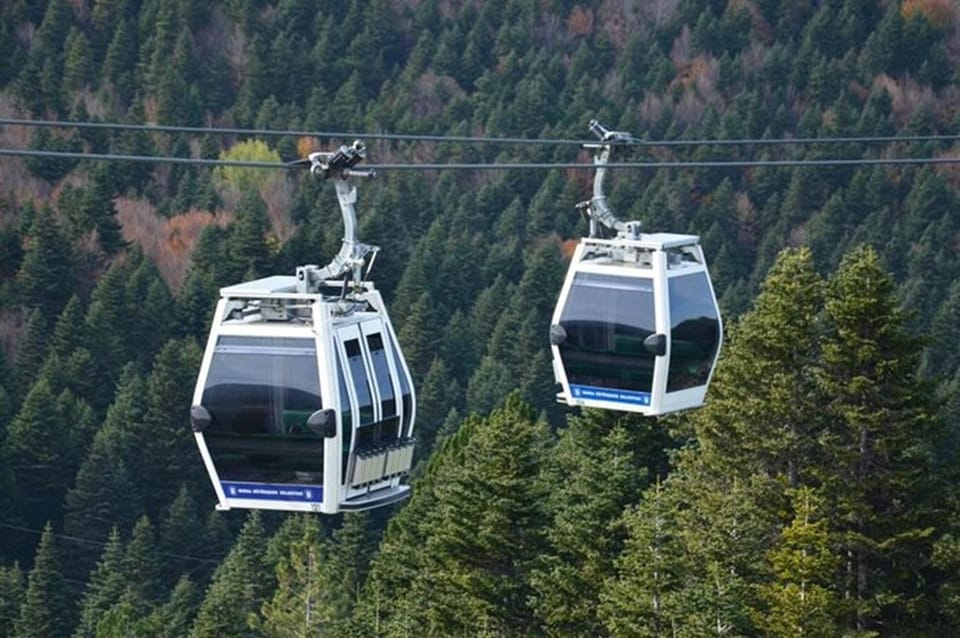 Bursa Full Day Sightseeing Tour from Istanbul - Who Should Book This Bursa Tour?