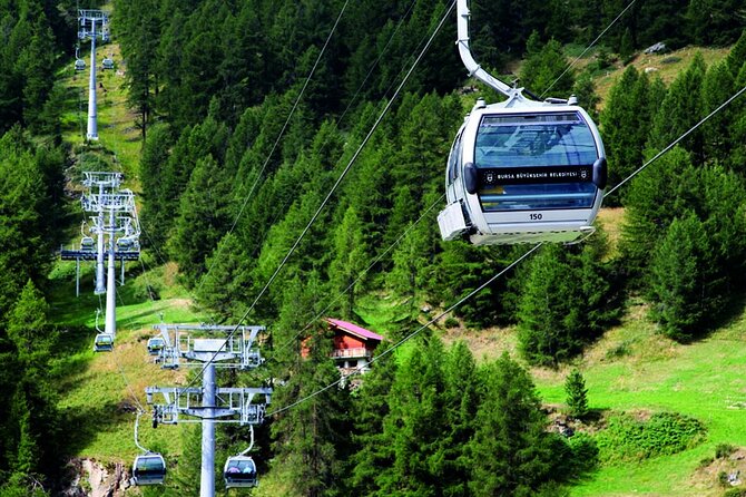 Bursa Uludağ Mountain Tour & Cable Car Ride from Istanbul - Getting to Bursa: air-conditioned bus plus Marmara ferry views